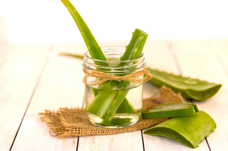 قناع الصبار