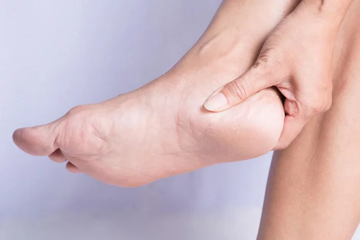 sd 2 - موقع رموش