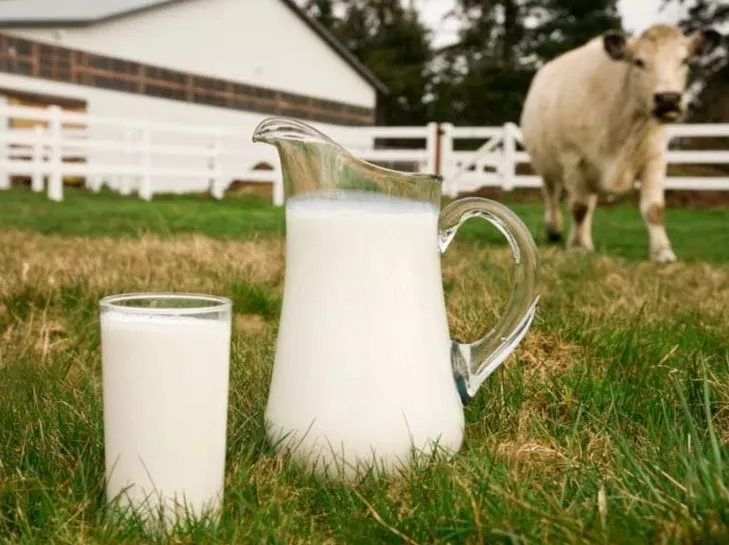 FH 1 - موقع رموش