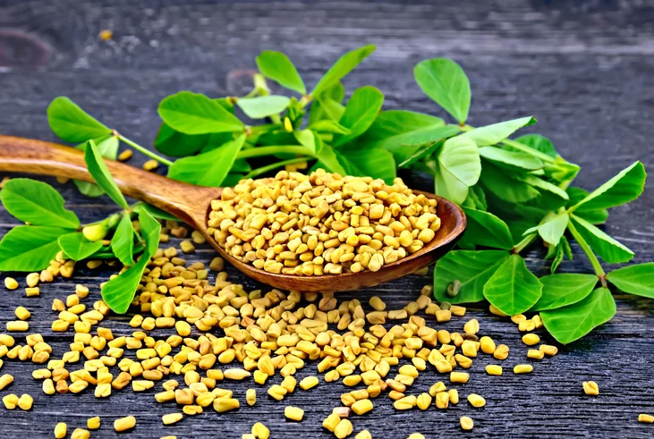 خصائص بذور الحلبة للجسم وخصائصها الطبية HN 2 - موقع رموش