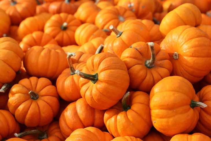 bgf 3 - موقع رموش