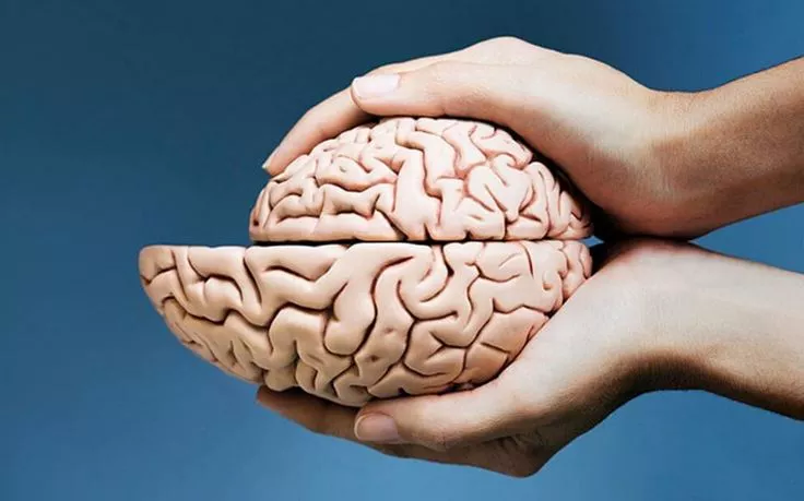 شيخوخة الدماغ