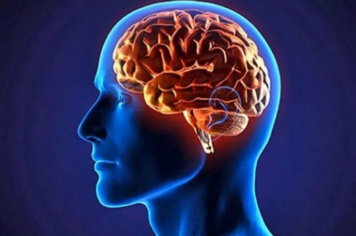 شيخوخة الدماغ