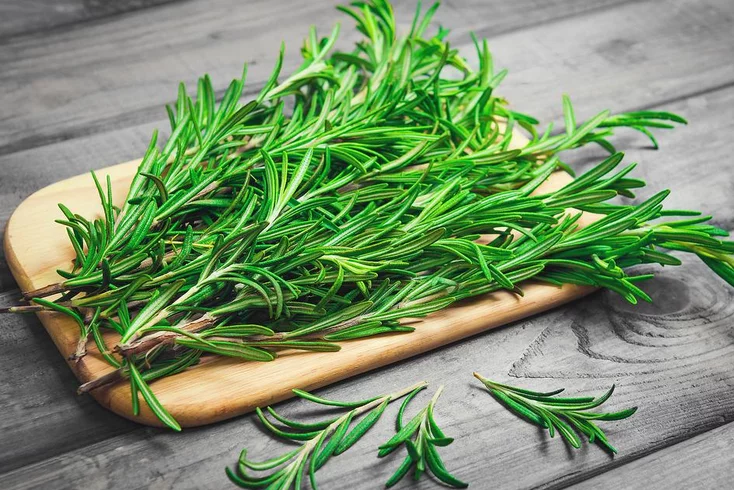 نبات إكليل الجبل