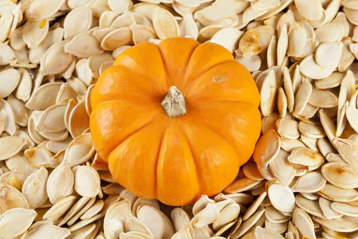 jgh 2 - موقع رموش