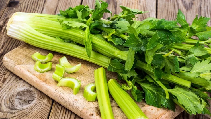 kuj - موقع رموش