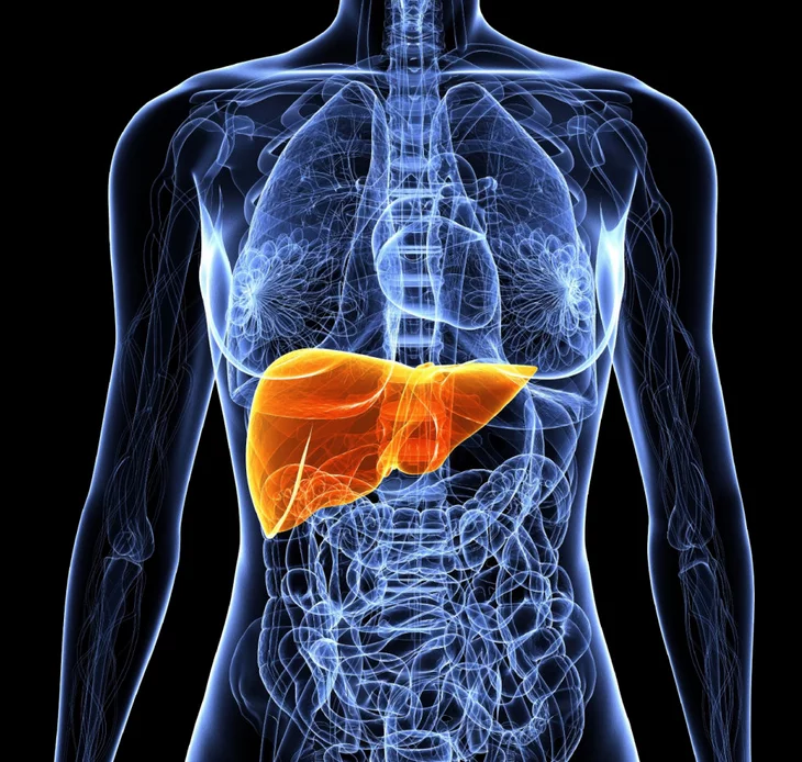 إزالة السموم من الكبد