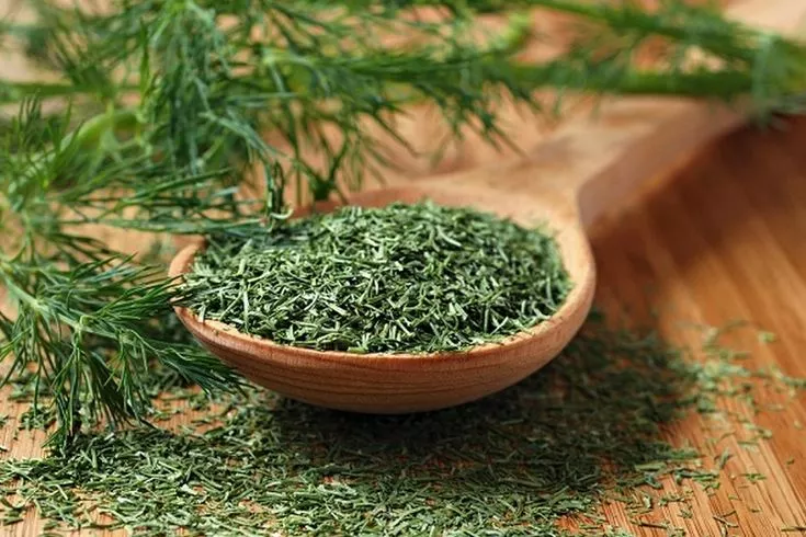 l 1 - موقع رموش