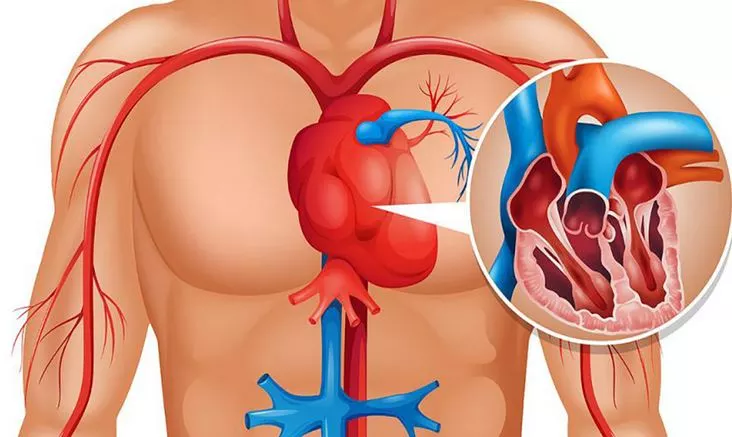 ضعف الدورة الدموية