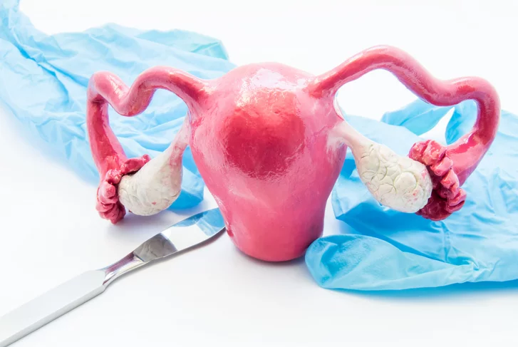 nxzd - موقع رموش