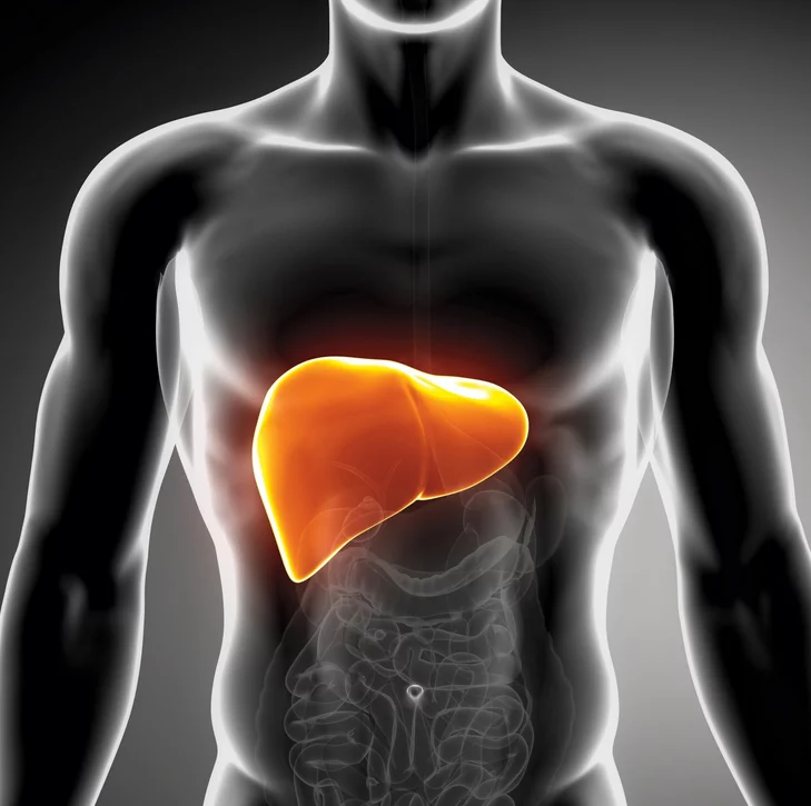 إزالة السموم من الكبد