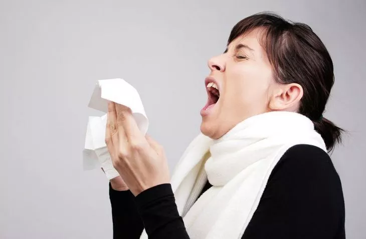 DWF - موقع رموش