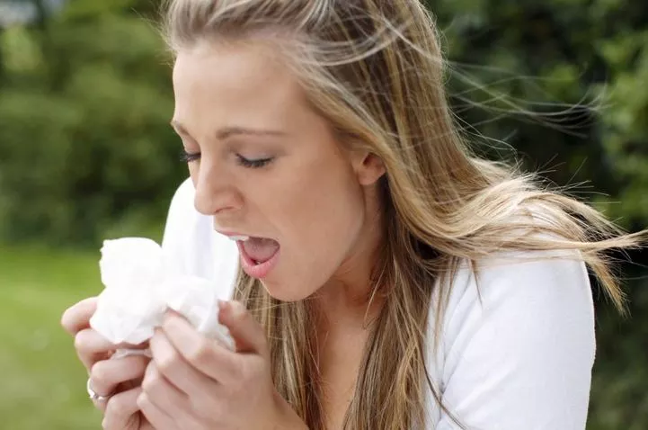 GFESF - موقع رموش