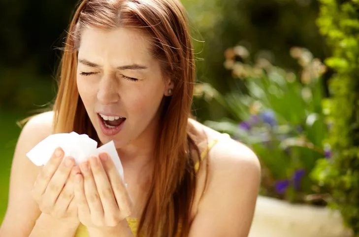 SWDV - موقع رموش