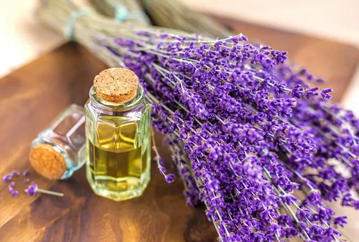 العلاج المنزلي لـ قروح البرد sr - موقع رموش