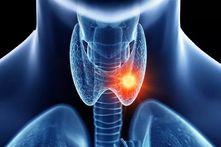 الاختبارات الأساسية للنساء فوق سن 40 عامًا الاختبارات الأساسية للنساء